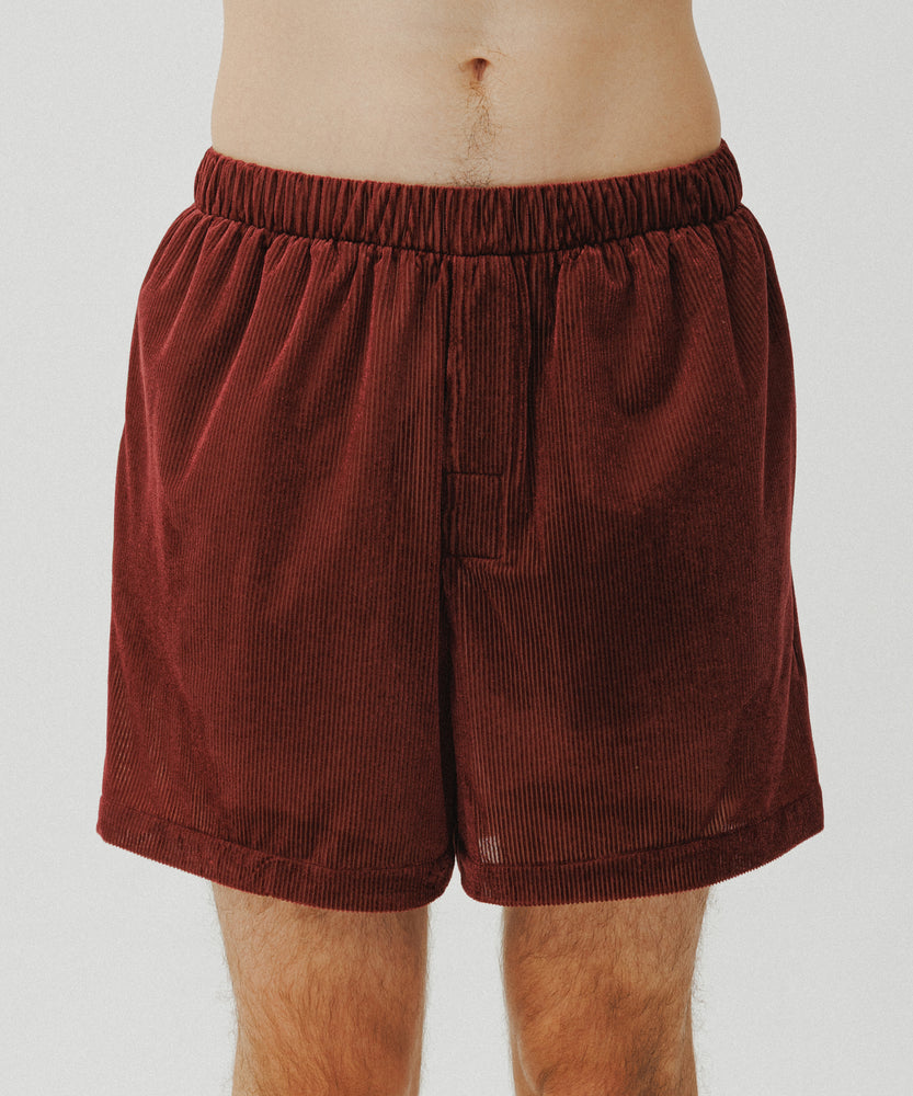 Sheer Velour Shorts | Desert Saffron