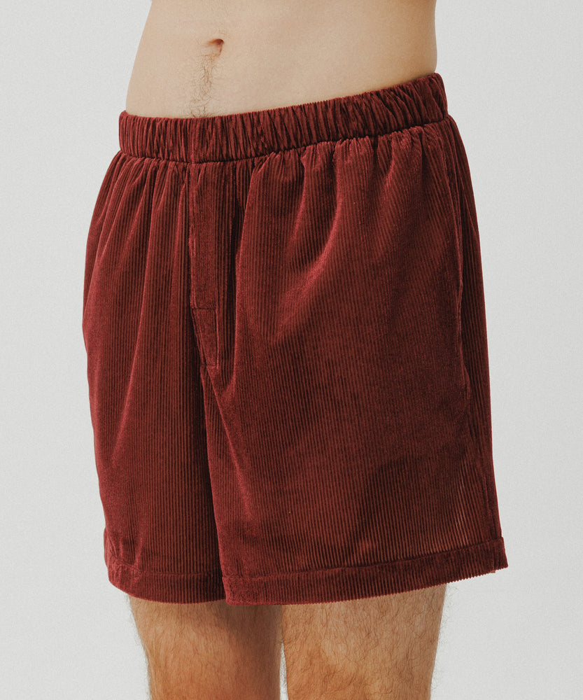 Sheer Velour Shorts | Desert Saffron