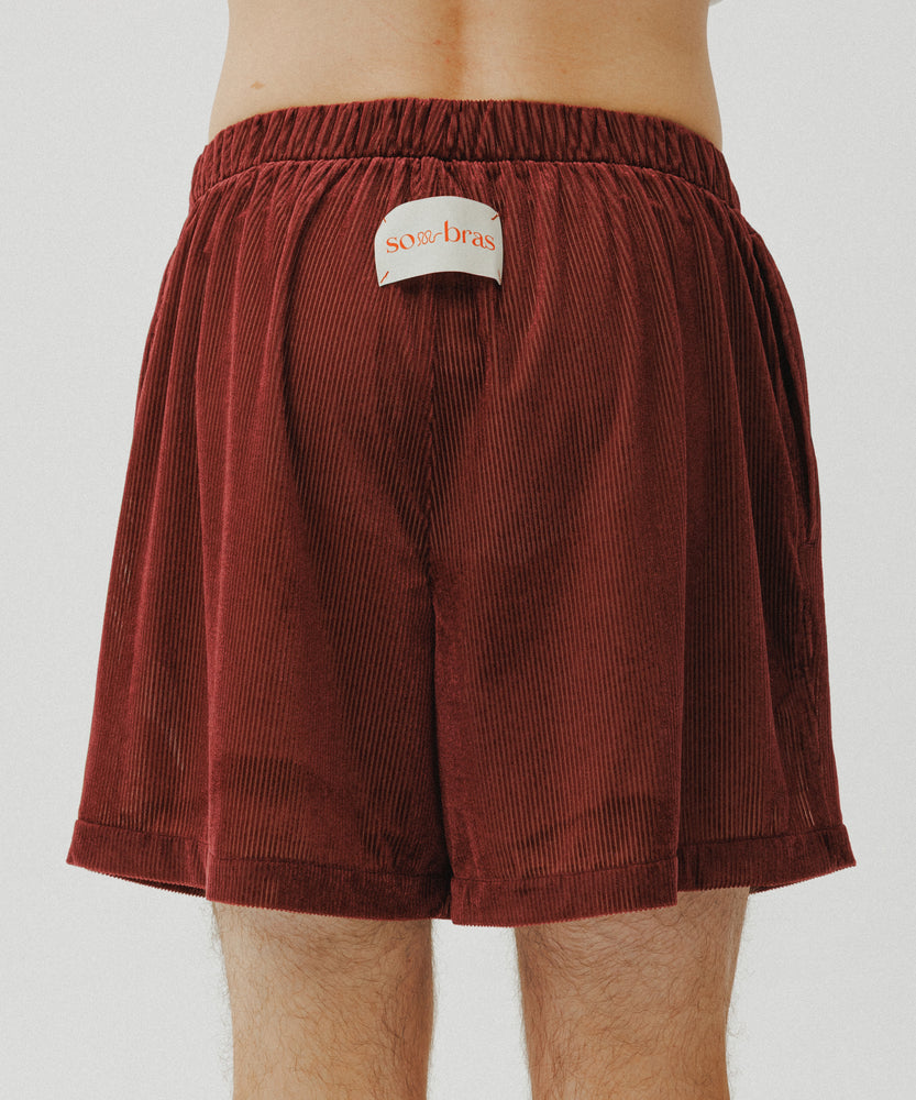 Sheer Velour Shorts | Desert Saffron