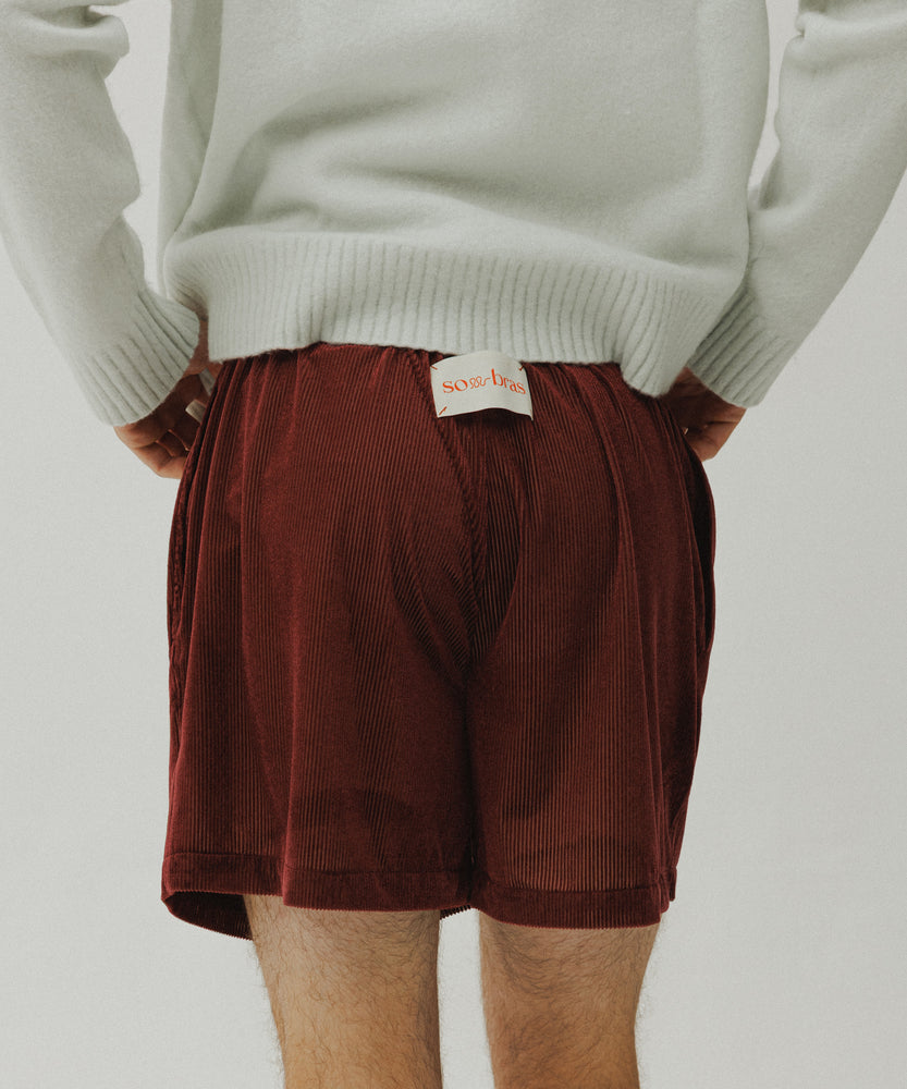 Sheer Velour Shorts | Desert Saffron