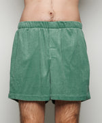 Cher Stripe Velour Shorts | Sea Green